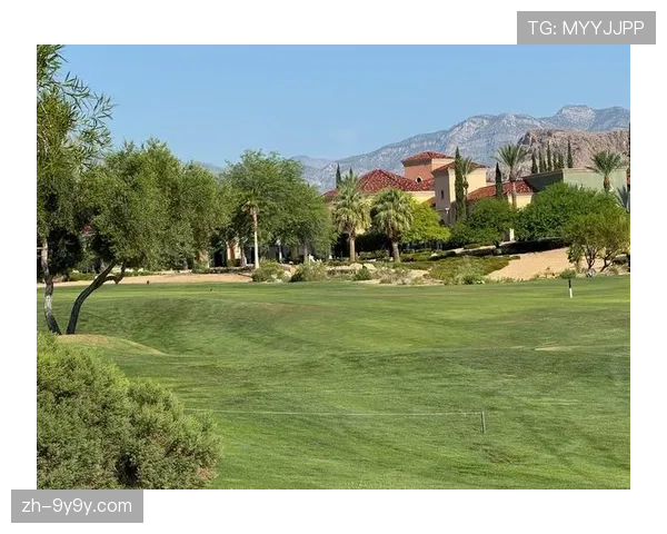 飞行距离争议再起：2026年高尔夫球减距改革方案评估报告发布